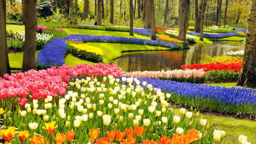 Keukenhof Gardens Netherlands 