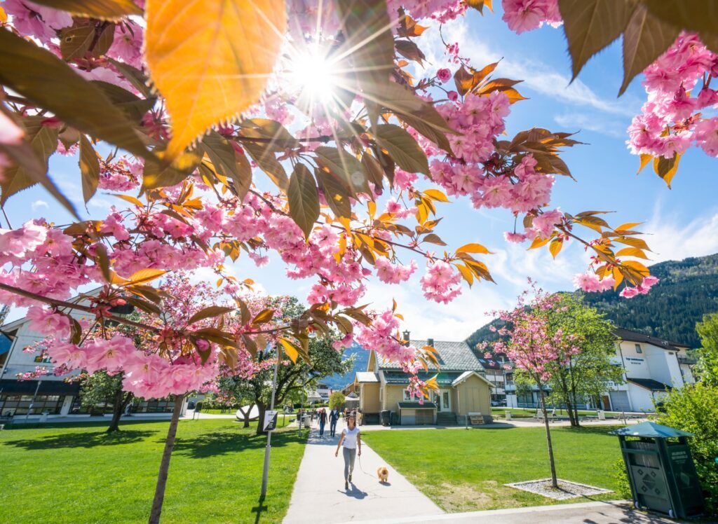 Spring in Sogndal Vegard Aasen norway