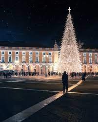 Portugal lisbon in winter
