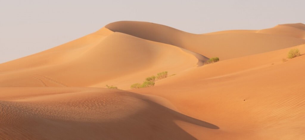 united arab emirates deserts