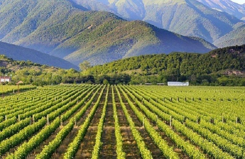 Kakheti