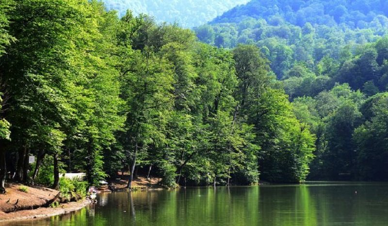Dilijan National Park