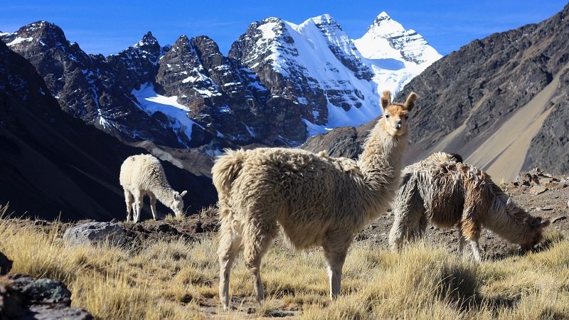 Cordillera Real