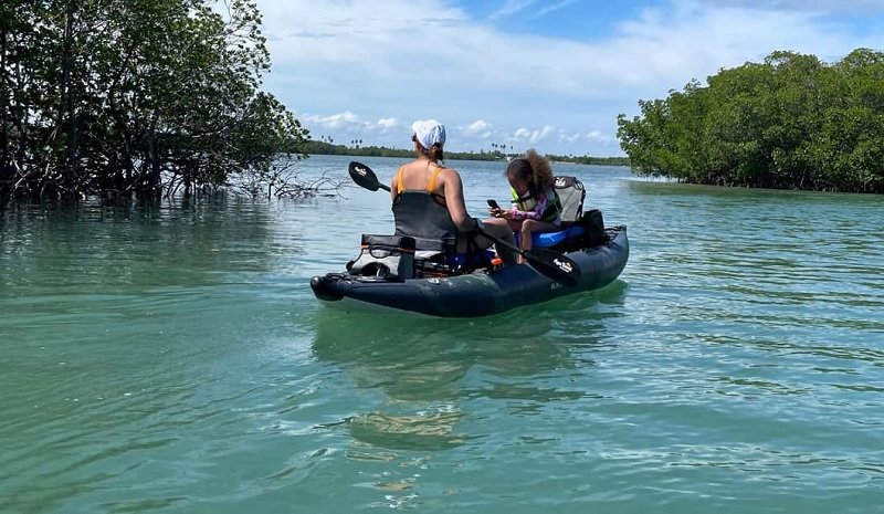 Wildlife and Adventure in the Mangroves