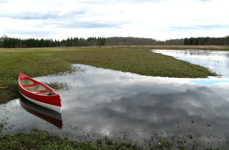 Soomaa National Park